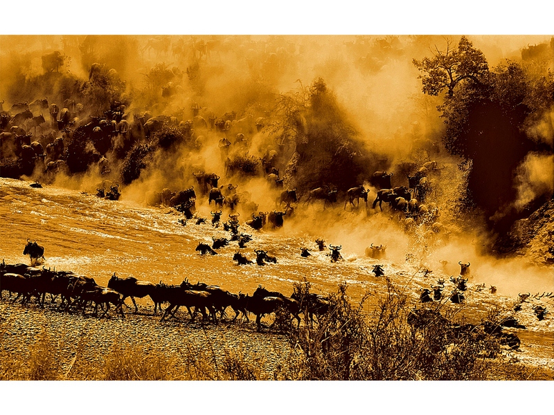 962 - MIGRATION 3 - ZHANG RUIXIANG - china.jpg